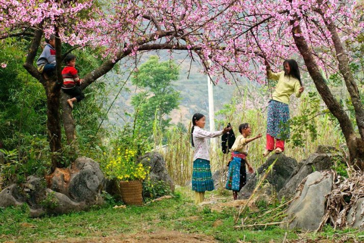 Mộc Châu - Rừng Thông Bản Án - Thác Dải Yếm - Đồi Chè